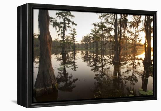 Caddo Lake, Texas, USA-Larry Ditto-Framed Premier Image Canvas