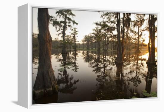 Caddo Lake, Texas, USA-Larry Ditto-Framed Premier Image Canvas