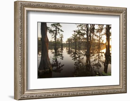 Caddo Lake, Texas, USA-Larry Ditto-Framed Photographic Print