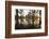 Caddo Lake, Texas, USA-Larry Ditto-Framed Photographic Print