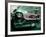 Caddy Daddy-Nathan Wright-Framed Photographic Print