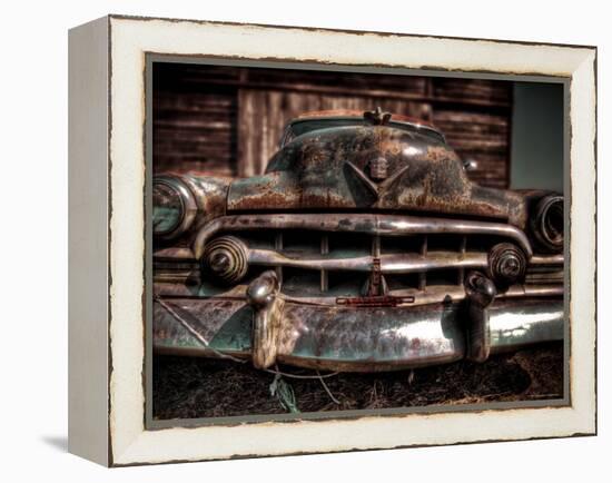 Caddy-Stephen Arens-Framed Premier Image Canvas