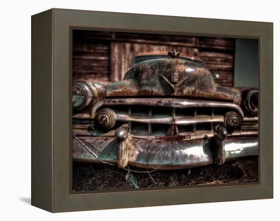 Caddy-Stephen Arens-Framed Premier Image Canvas