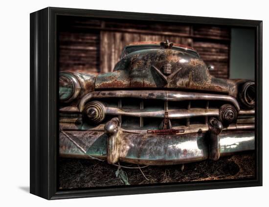 Caddy-Stephen Arens-Framed Premier Image Canvas