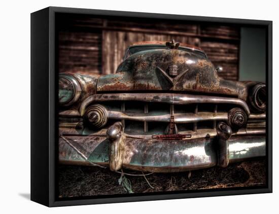 Caddy-Stephen Arens-Framed Premier Image Canvas