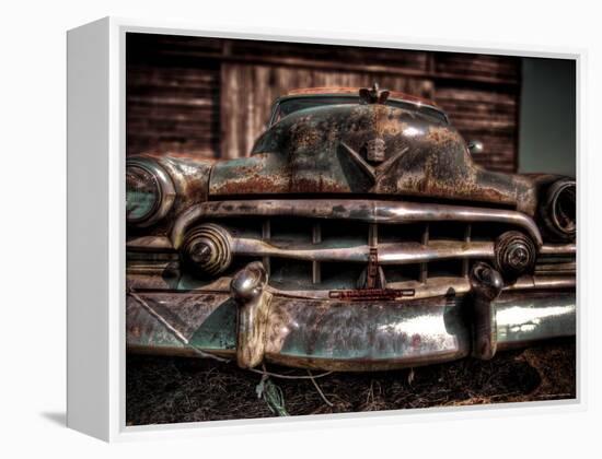 Caddy-Stephen Arens-Framed Premier Image Canvas