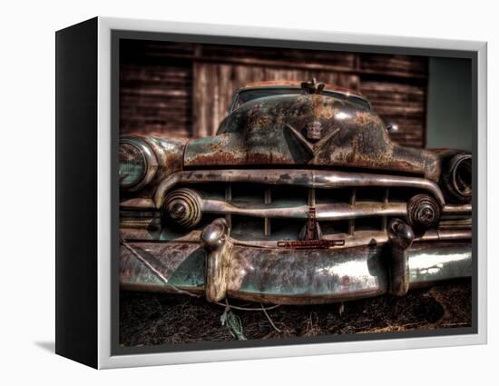 Caddy-Stephen Arens-Framed Premier Image Canvas