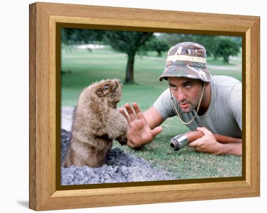 Caddyshack-null-Framed Stretched Canvas