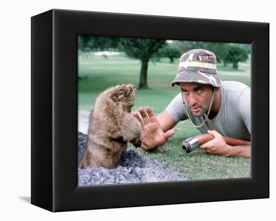 Caddyshack-null-Framed Stretched Canvas