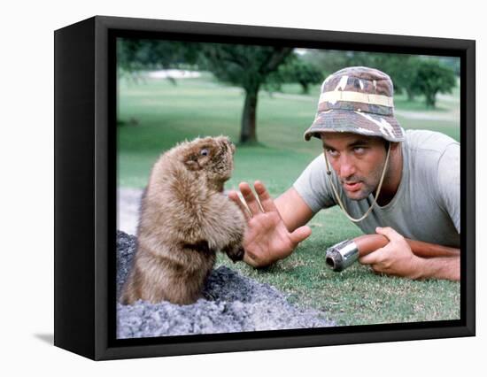 Caddyshack-null-Framed Stretched Canvas