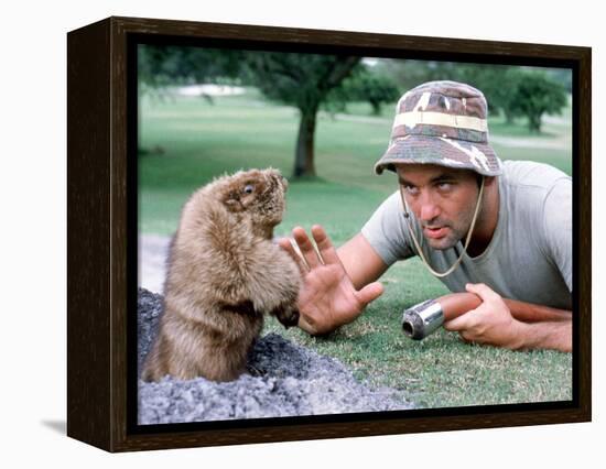 Caddyshack-null-Framed Stretched Canvas