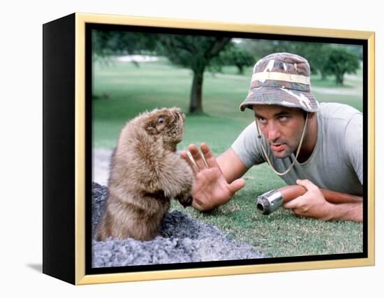 Caddyshack-null-Framed Stretched Canvas