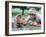 Caddyshack-null-Framed Photo