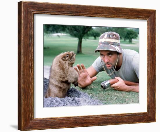 Caddyshack-null-Framed Photo