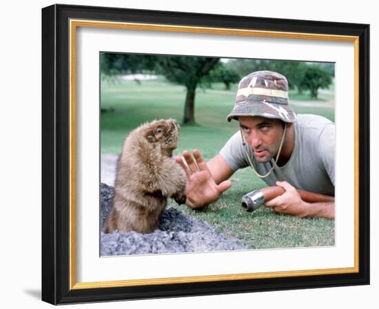 Caddyshack-null-Framed Photo