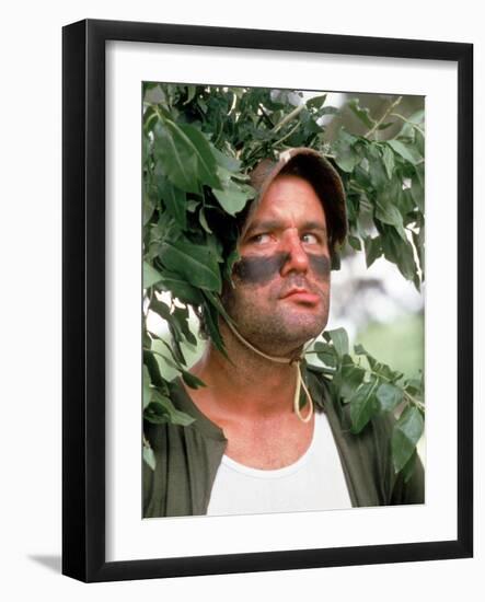 Photo, , large