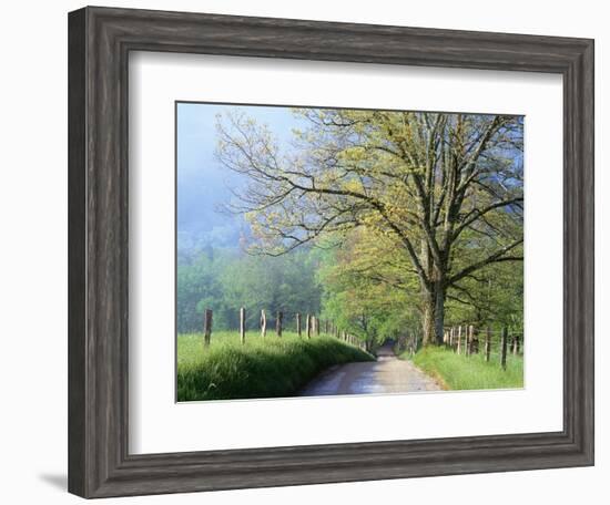 Cades Cove Lane in Great Smoky Mountains National Park-Darrell Gulin-Framed Photographic Print