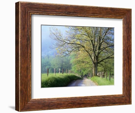 Cades Cove Lane in Great Smoky Mountains National Park-Darrell Gulin-Framed Photographic Print