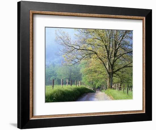 Cades Cove Lane in Great Smoky Mountains National Park-Darrell Gulin-Framed Photographic Print