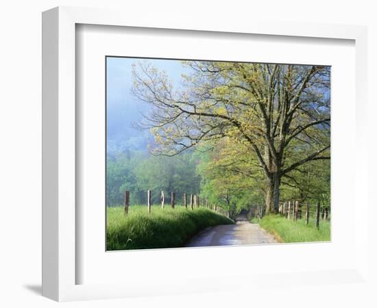 Cades Cove Lane in Great Smoky Mountains National Park-Darrell Gulin-Framed Photographic Print