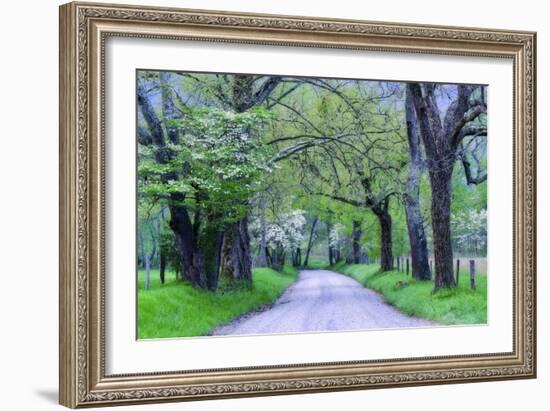 Cades Cove Lane-Michael Blanchette Photography-Framed Photographic Print