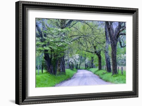 Cades Cove Lane-Michael Blanchette Photography-Framed Photographic Print