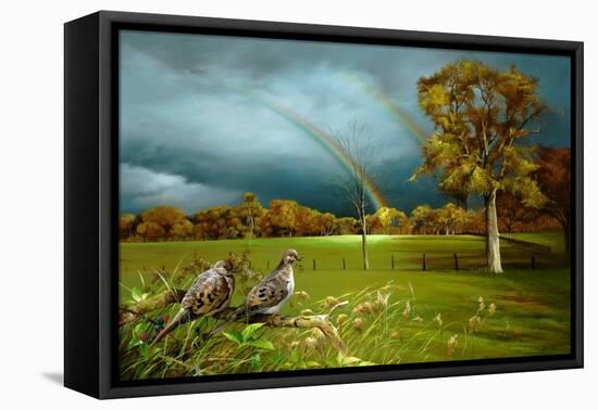 Cades Cove Rainbow-Spencer Williams-Framed Premier Image Canvas