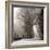 Cades Cove-Nicholas Bell-Framed Premium Photographic Print