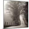 Cades Cove-Nicholas Bell-Mounted Photographic Print