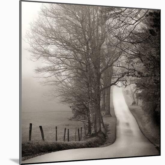 Cades Cove-Nicholas Bell-Mounted Photographic Print