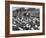 Cadets and a Cowboy Sitting on a Fence in a Stockyard Crowded with Cattle-null-Framed Photographic Print