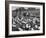 Cadets and a Cowboy Sitting on a Fence in a Stockyard Crowded with Cattle-null-Framed Photographic Print