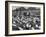 Cadets and a Cowboy Sitting on a Fence in a Stockyard Crowded with Cattle-null-Framed Photographic Print