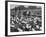 Cadets and a Cowboy Sitting on a Fence in a Stockyard Crowded with Cattle-null-Framed Photographic Print