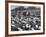 Cadets and a Cowboy Sitting on a Fence in a Stockyard Crowded with Cattle-null-Framed Photographic Print