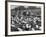 Cadets and a Cowboy Sitting on a Fence in a Stockyard Crowded with Cattle-null-Framed Photographic Print