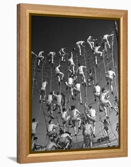 Cadets in the US Navy Climbing Rope Wall During Obstacle Course-Dmitri Kessel-Framed Premier Image Canvas