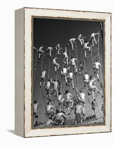 Cadets in the US Navy Climbing Rope Wall During Obstacle Course-Dmitri Kessel-Framed Premier Image Canvas