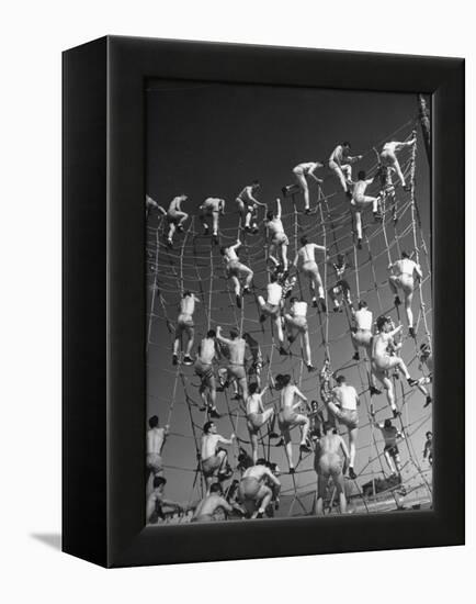 Cadets in the US Navy Climbing Rope Wall During Obstacle Course-Dmitri Kessel-Framed Premier Image Canvas