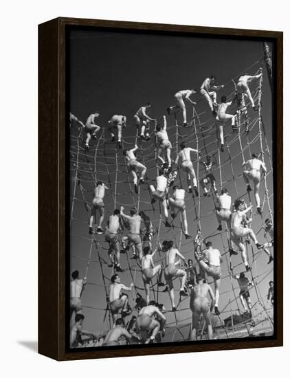 Cadets in the US Navy Climbing Rope Wall During Obstacle Course-Dmitri Kessel-Framed Premier Image Canvas