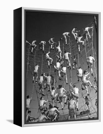 Cadets in the US Navy Climbing Rope Wall During Obstacle Course-Dmitri Kessel-Framed Premier Image Canvas