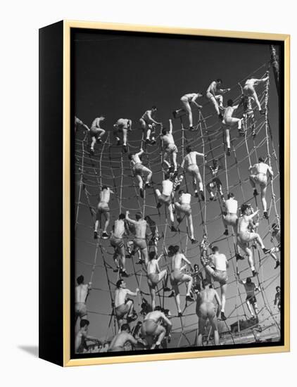 Cadets in the US Navy Climbing Rope Wall During Obstacle Course-Dmitri Kessel-Framed Premier Image Canvas