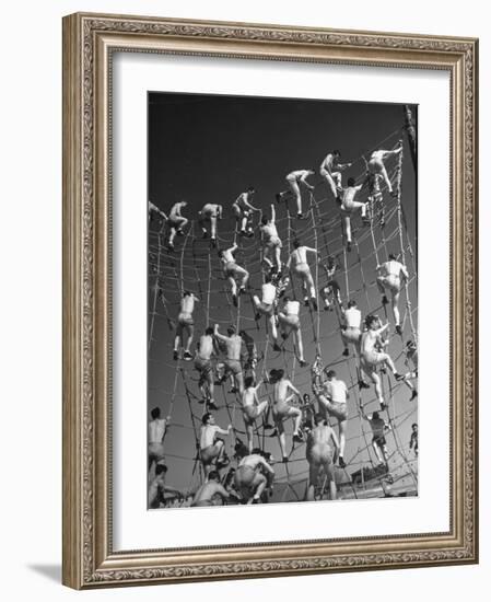 Cadets in the US Navy Climbing Rope Wall During Obstacle Course-Dmitri Kessel-Framed Photographic Print