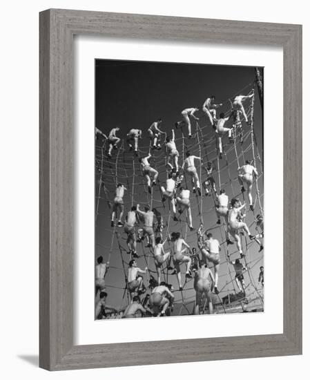 Cadets in the US Navy Climbing Rope Wall During Obstacle Course-Dmitri Kessel-Framed Photographic Print