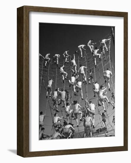 Cadets in the US Navy Climbing Rope Wall During Obstacle Course-Dmitri Kessel-Framed Photographic Print