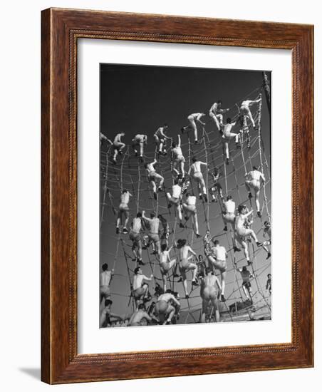 Cadets in the US Navy Climbing Rope Wall During Obstacle Course-Dmitri Kessel-Framed Photographic Print