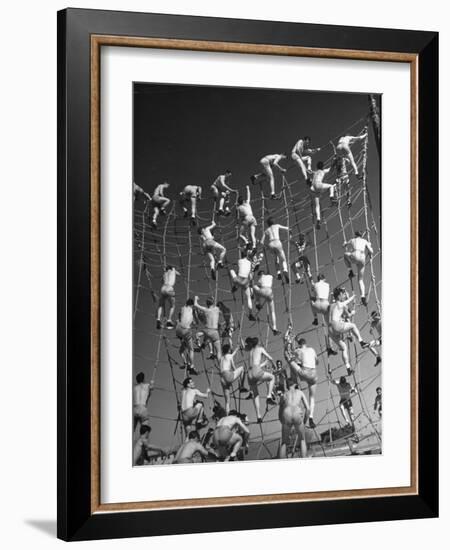 Cadets in the US Navy Climbing Rope Wall During Obstacle Course-Dmitri Kessel-Framed Photographic Print