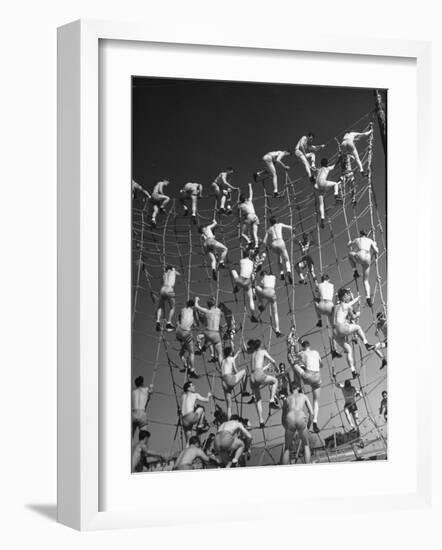 Cadets in the US Navy Climbing Rope Wall During Obstacle Course-Dmitri Kessel-Framed Photographic Print