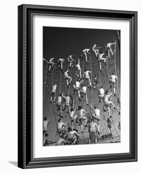 Cadets in the US Navy Climbing Rope Wall During Obstacle Course-Dmitri Kessel-Framed Photographic Print