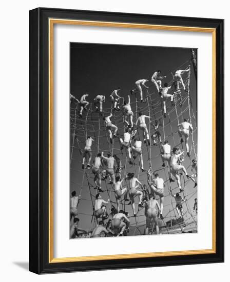 Cadets in the US Navy Climbing Rope Wall During Obstacle Course-Dmitri Kessel-Framed Photographic Print